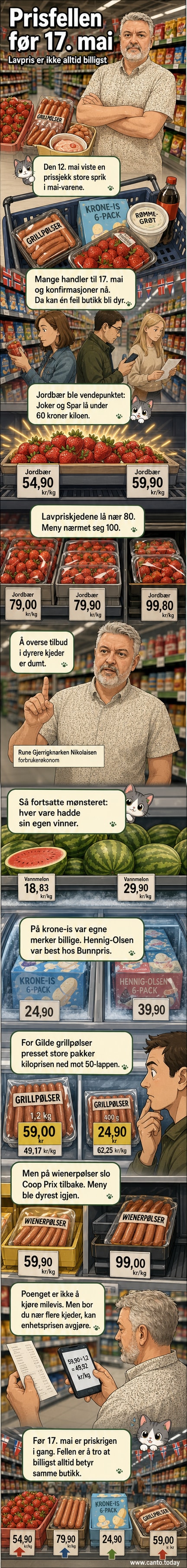 Illustrasjon av en handletur med varer som jordbær, is og pølser, hvor ulike butikker vises med ulike priser over hodet.