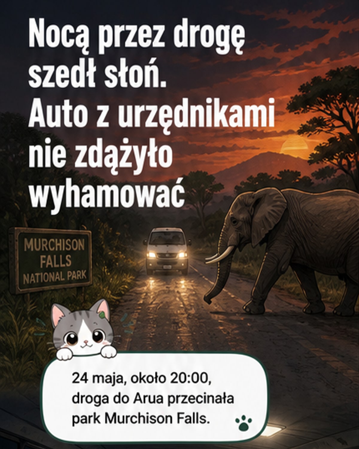 Słoń na drodze, tragedia w Ugandzie