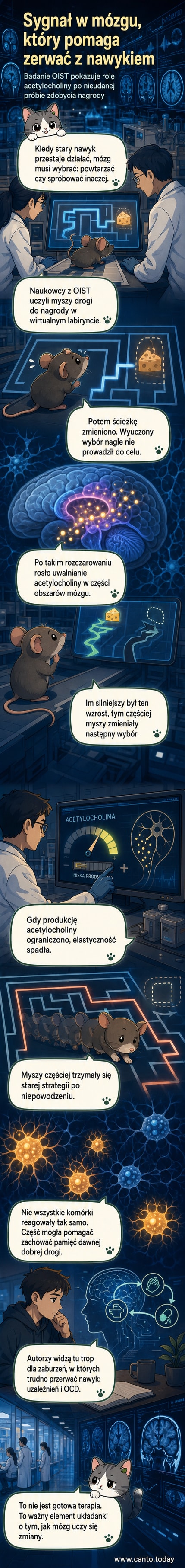 Ilustracja mózgu z zaznaczonymi obszarami aktywności acetylocholiny podczas zmiany nawyków, na tle wirtualnego labiryntu i myszy szukającej nagrody.