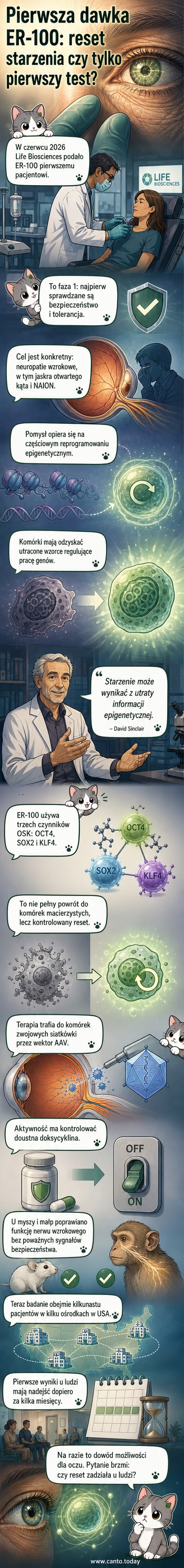 Ilustracja przedstawiająca komórkę z siatkówki oka, w której czynniki OSK przywracają epigenetyczne wzorce młodych komórek, z tłem w postaci DNA i metylofospory.