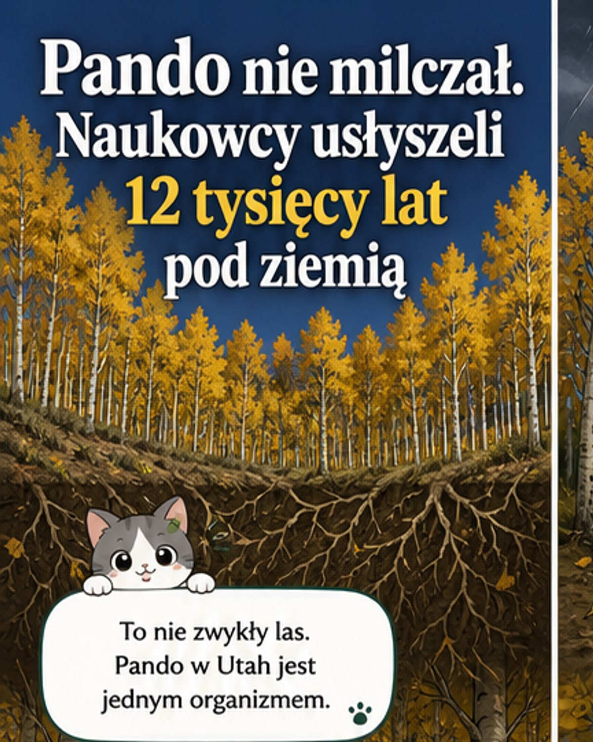 Pando przemówił po 12 tys. lat