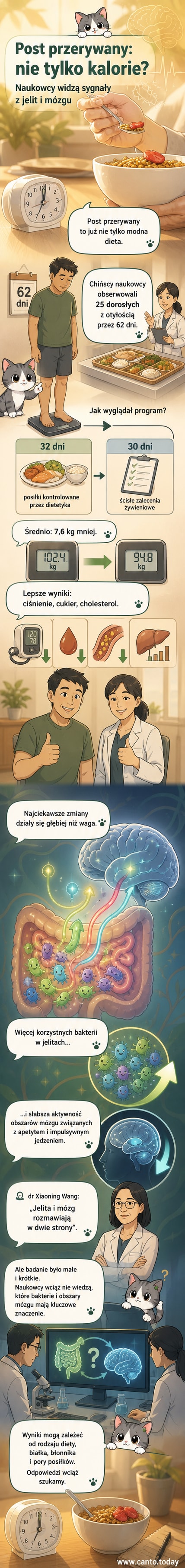 Ilustracja przedstawiająca zmiany w organizmie podczas przerywanego postu: jelita z różnorodnym mikrobiomem i mózg z oznaczonymi obszarami regulującymi apetyt.