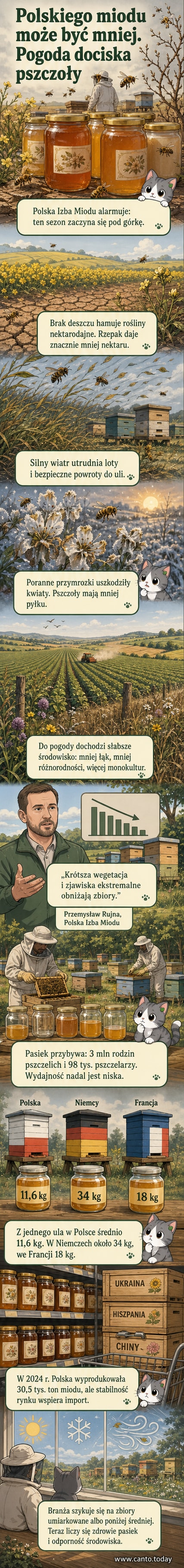 Ilustracja przedstawiająca pszczoły lecące nad suchym polem rzepaku, z tłem suchych drzew i zachmurzonego nieba, symbolizująca wpływ zmian klimatycznych na produkcję miodu.