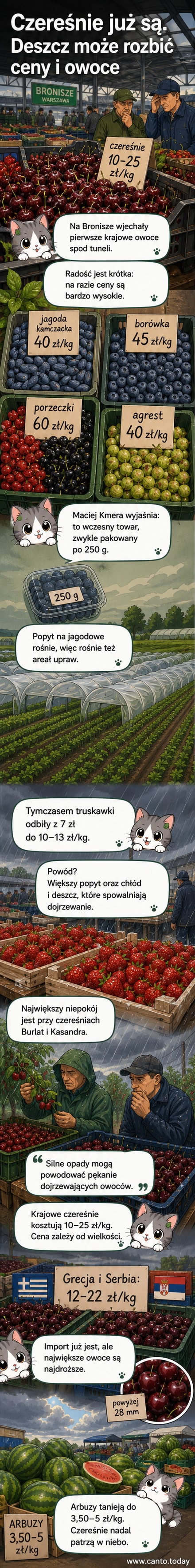Ilustracja przedstawia giełdę w Broniszach, gdzie sprzedawane są drogie owoce jagodowe – jagody kamczackie, porzeczki i agrest – w tle widoczne są uprawy pod tunelami i zmartwieni sadownicy patrzący na deszcz.