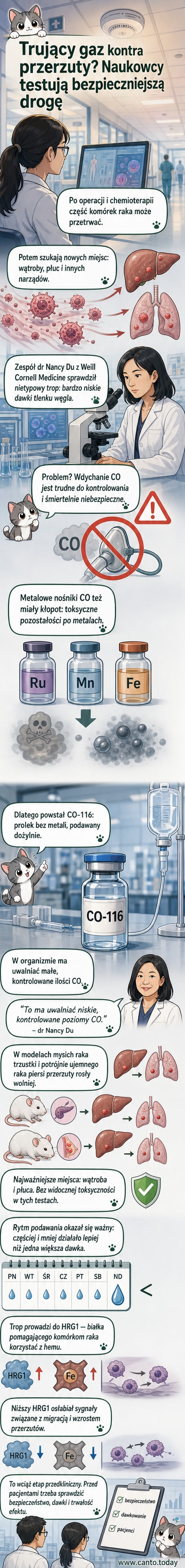 Ilustracja przedstawiająca działanie nowej terapii: prolek CO-116 wprowadzany dożylnie, uwalniający tlenek węgla, który blokuje przerzuty nowotworowe poprzez wpływ na białko HRG1.
