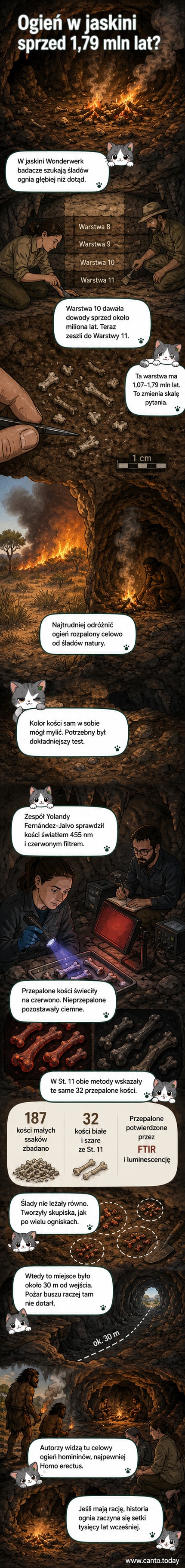 Ilustracja wnętrza jaskini Wonderwerk z ogniskiem, wokół którego grupa Homo erectus przetwarza jedzenie i kości, tło z warstwami geologicznymi i przepalonymi szczątkami.