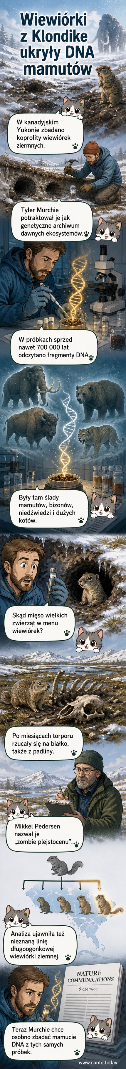 Ilustracja prehistorycznej wiewiórki ziemnej wyłaniającej się z nory w tundrze, obok skamieniałych resztek mamuta – styl komiksowego newsa naukowego