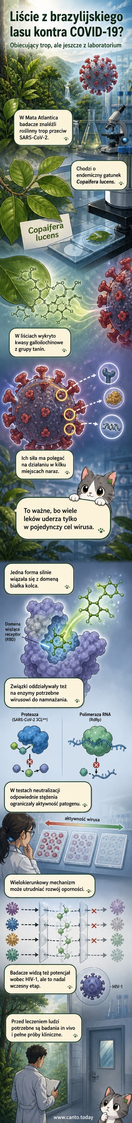 Ilustracja przedstawiająca liście rośliny Copaifera lucens z widocznymi kroplami substancji aktywnej, tła dzungli i schematyczne przedstawienie blokowania wirusa SARS-CoV-2.