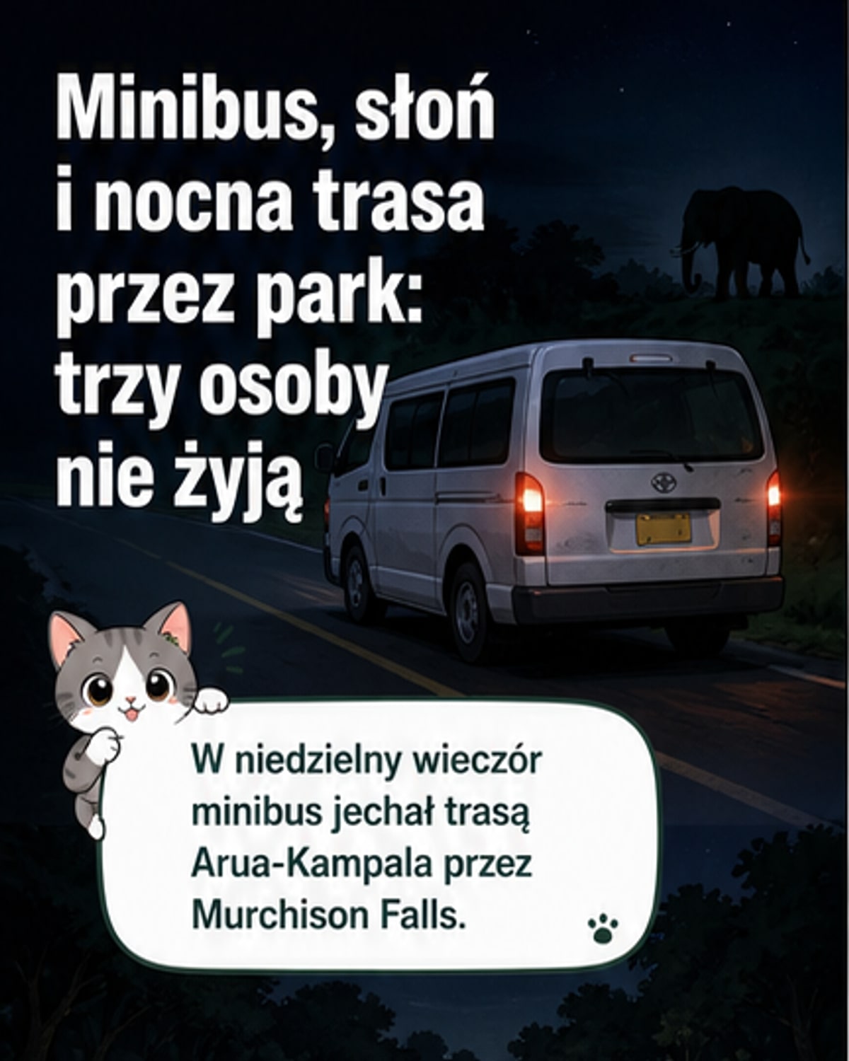 Minibus uderzył w słonia. Trzy ofiary