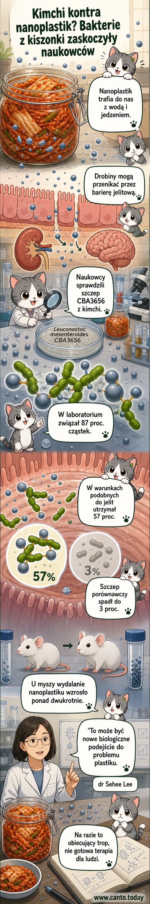 Ilustracja pokazująca bakterie z kimchi wiążące cząstki nanoplastiku w jelitach, na tle tła z warzyw kiszonych i mikroskopijnych cząstek plastiku