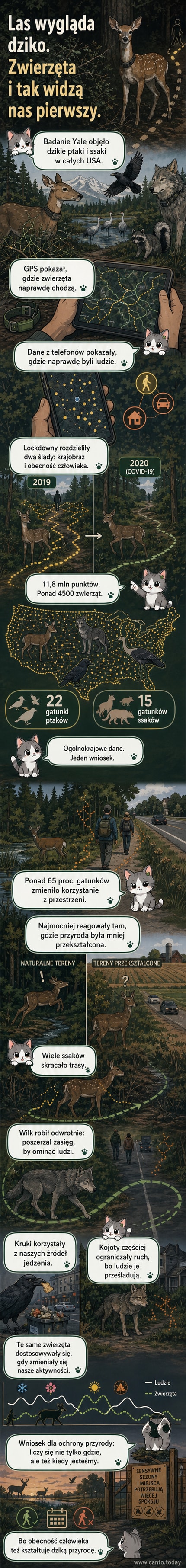 Ilustracja przedstawiająca różne zwierzęta — jelenia, wilka, kruka, kaczki — z dala od ludzi w naturalnym środowisku, z widocznym kontrastem między dzikim terenem a miejskim tłem.