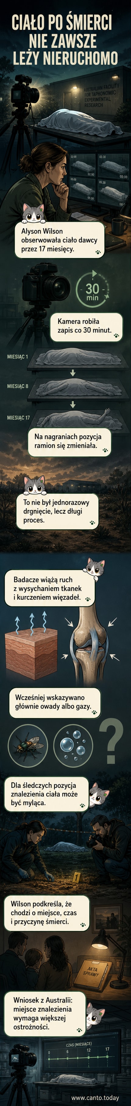 Ilustracja pokazująca ciało leżące w lesie, z cienkimi liniami wskazującymi powolne przemieszczanie się rąk w czasie, na tle lasu i kamery poklatkowej.