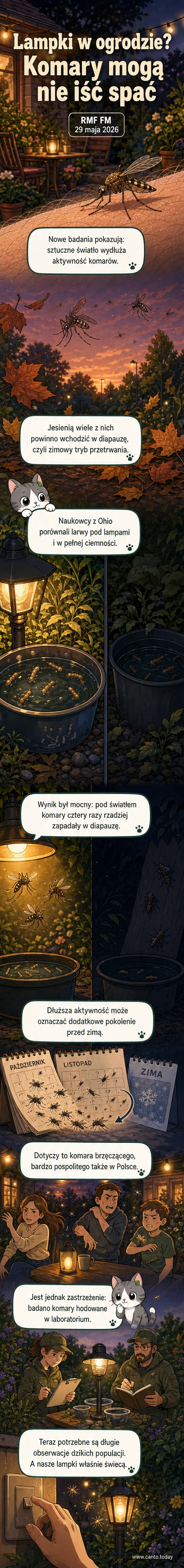 Ilustracja przedstawia ogrodową scenę z latarnią i komarami, które nadal latają późnym wieczorem, podczas gdy w tle widać ciemny ogród bez światła, gdzie komary są nieaktywne.