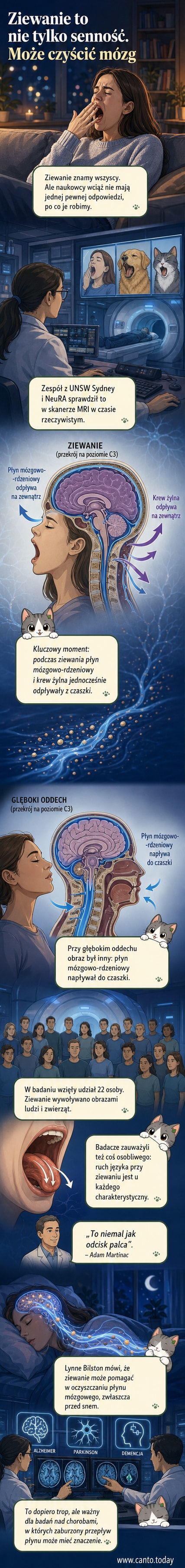 Ilustracja przedstawiająca przepływ płynu mózgowo-rdzeniowego podczas ziewania, z zaznaczonym obszarem kręgu C3 i ruchem języka.