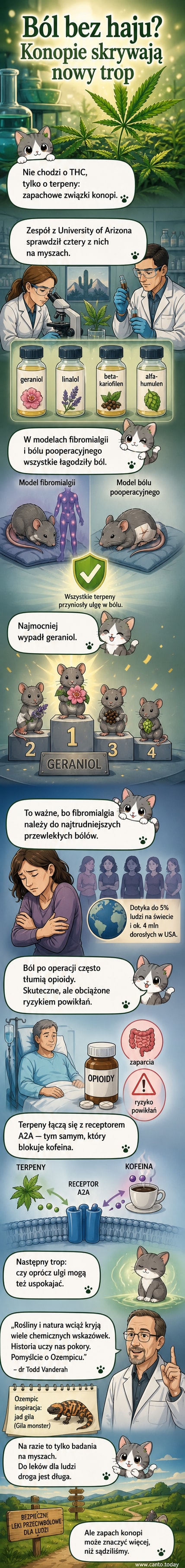 Ilustracja przedstawiająca mikroskopijny widok cząsteczek terpenów z konopi, które łagodzą ból bez odmiany świadomości.