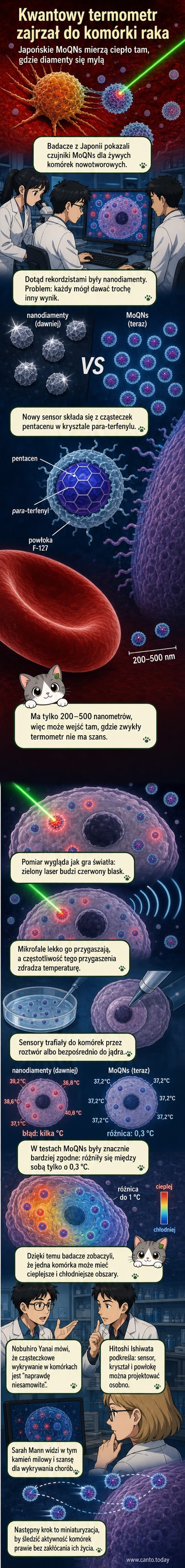 Ilustracja przedstawiająca mikroskopijną komórkę nowotworową z wizualizacją różnicy temperatur w jej wnętrzu, z nanosensorem kwantowym opartym na pentacenach.