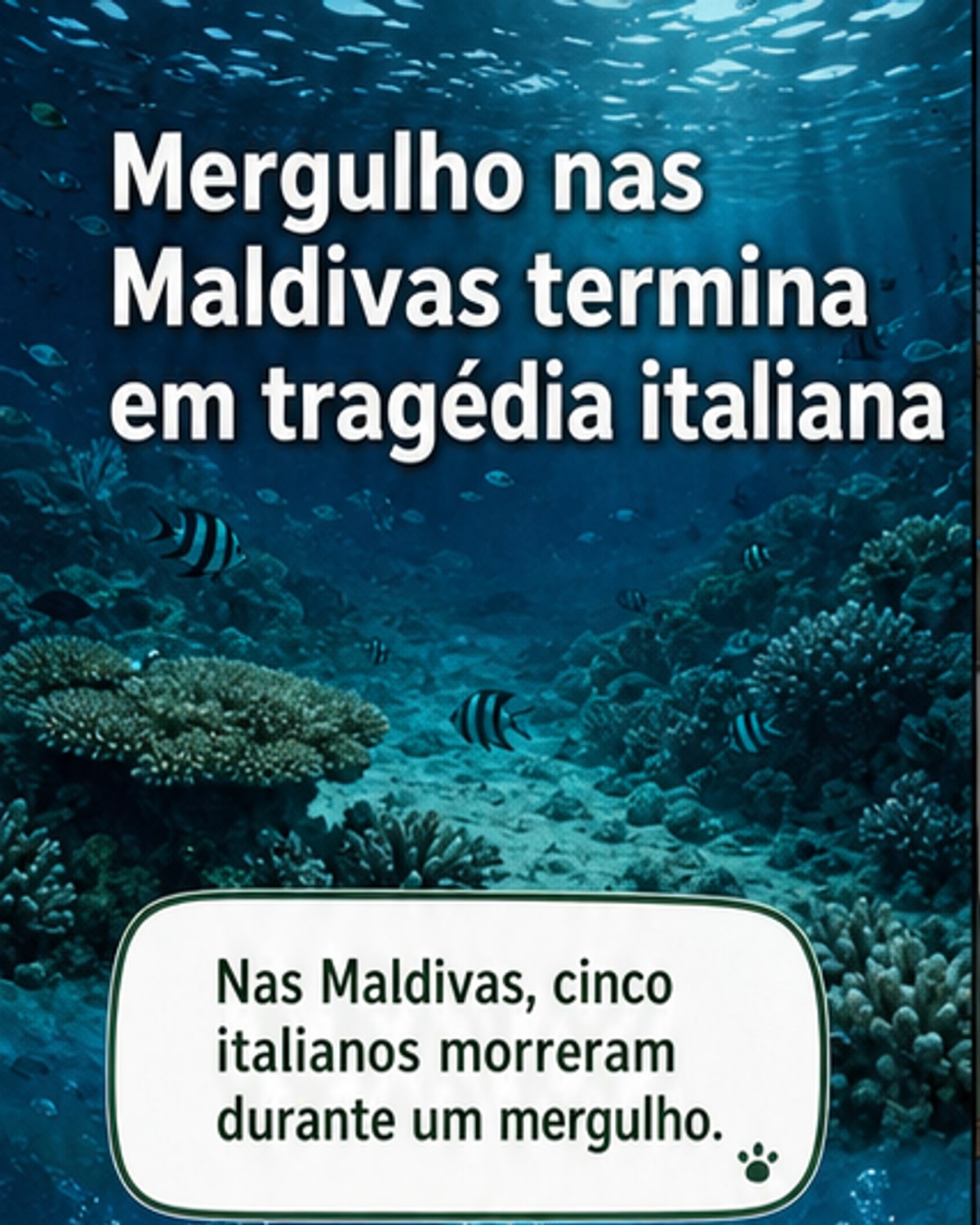 Mergulhadores italianos morrem nas Maldivas