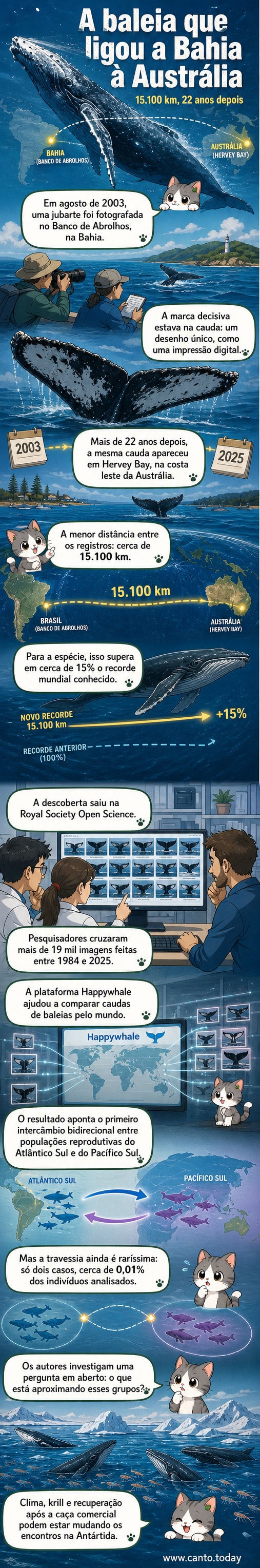 Ilustração de uma baleia-jubarte nadando entre o litoral da Bahia e a costa da Austrália, com linha tracejada indicando rota de 15 mil km sobre o Oceano Antártico.