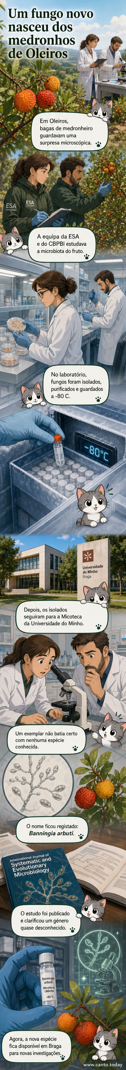 Ilustração de uma baga de medronho com detalhe microscópico de fungos, simbolizando a descoberta científica em Portugal.