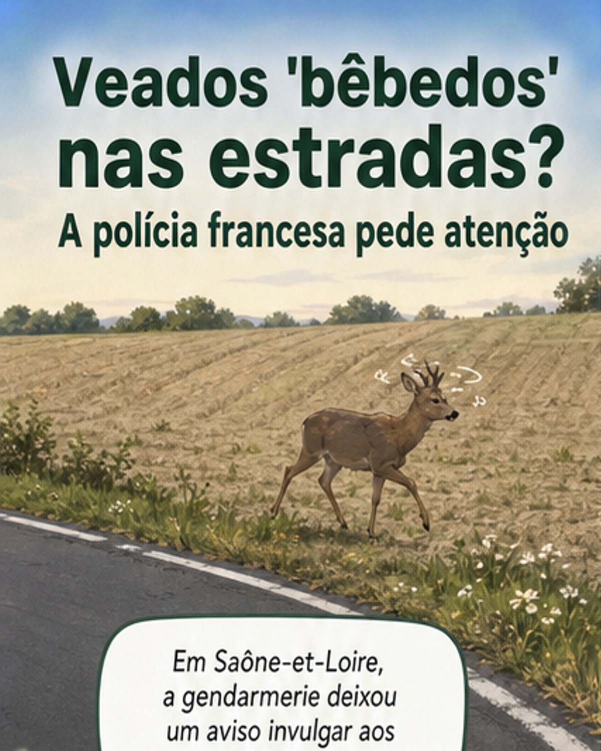 Veados bêbedos na estrada? A França avisou