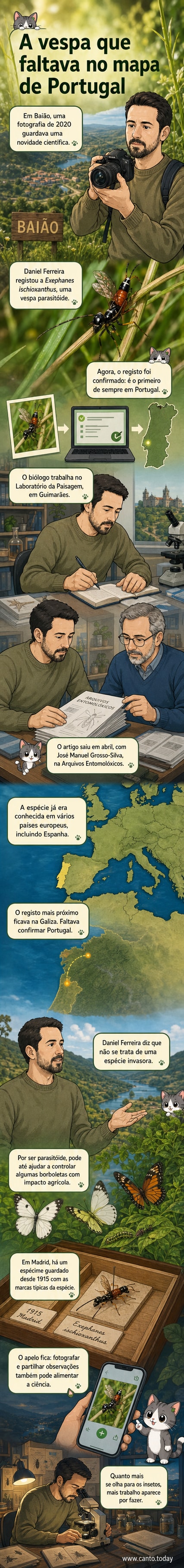 Ilustração de uma vespa preta com marcas brancas em voo sobre folhagem, representando a espécie Exephanes ischioxanthus, recentemente registada em Portugal.
