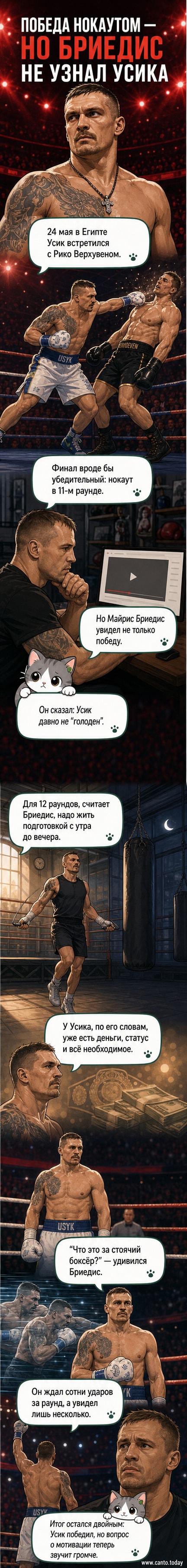 Иллюстрация боксёра в ринге с тенью соперника, рядом — силуэты трибун и Египетские пирамиды на заднем плане
