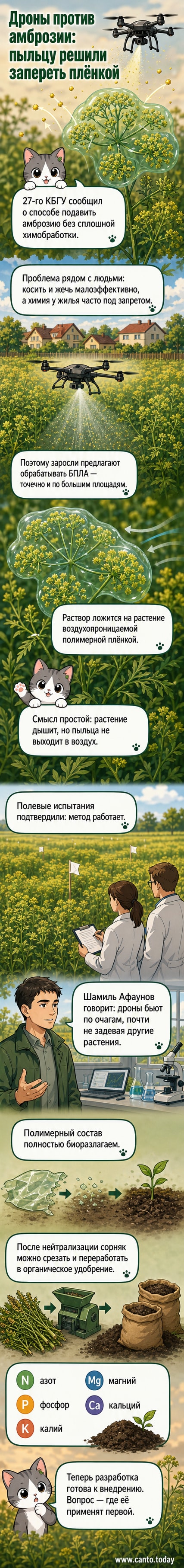 Иллюстрация: дрон распыляет полимерный состав на заросли амброзии, пыльца заблокирована под прозрачной плёнкой