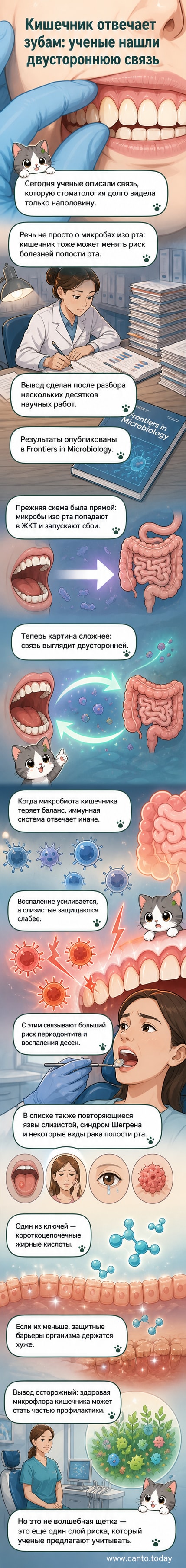Иллюстрация, показывающая связь между кишечником и ротовой полостью через иммунную систему и микробиоту, с акцентом на воспалительные процессы при дисбалансе.