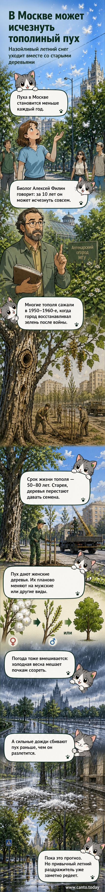 Городская аллея с тополями, на заднем плане — московская застройка. Лето, воздух наполнен лёгким пухом.