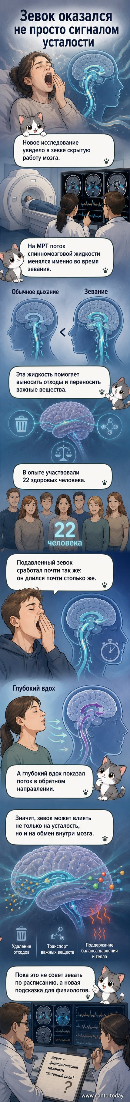 Иллюстрация головного мозга с акцентом на движение спинномозговой жидкости во время зевания