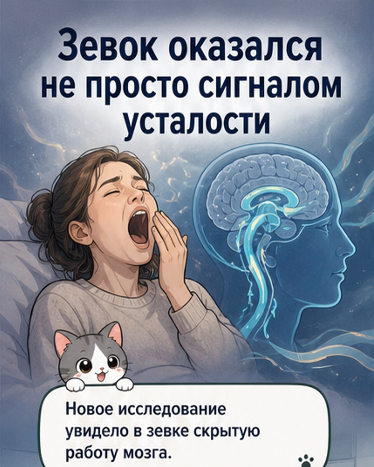 Зевание помогает мозгу очищаться