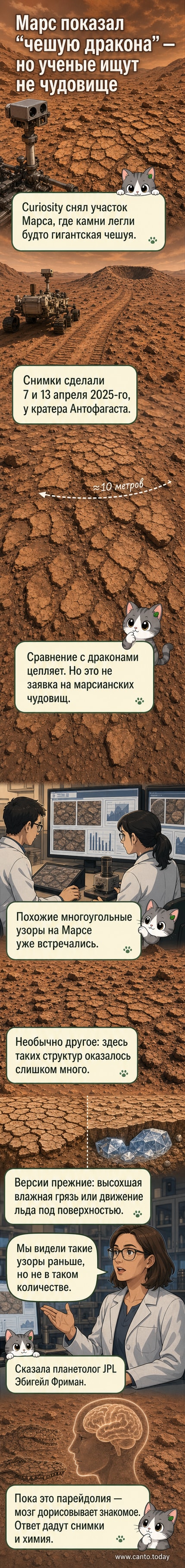 Изображение поверхности Марса с чешуйчатыми геологическими структурами, напоминающими сотовидный узор, сделанное марсоходом Curiosity