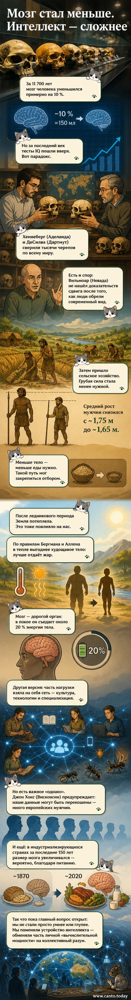 Иллюстрация человеческого мозга с уменьшающейся линией объёма на фоне роста технологий и коллективной сети
