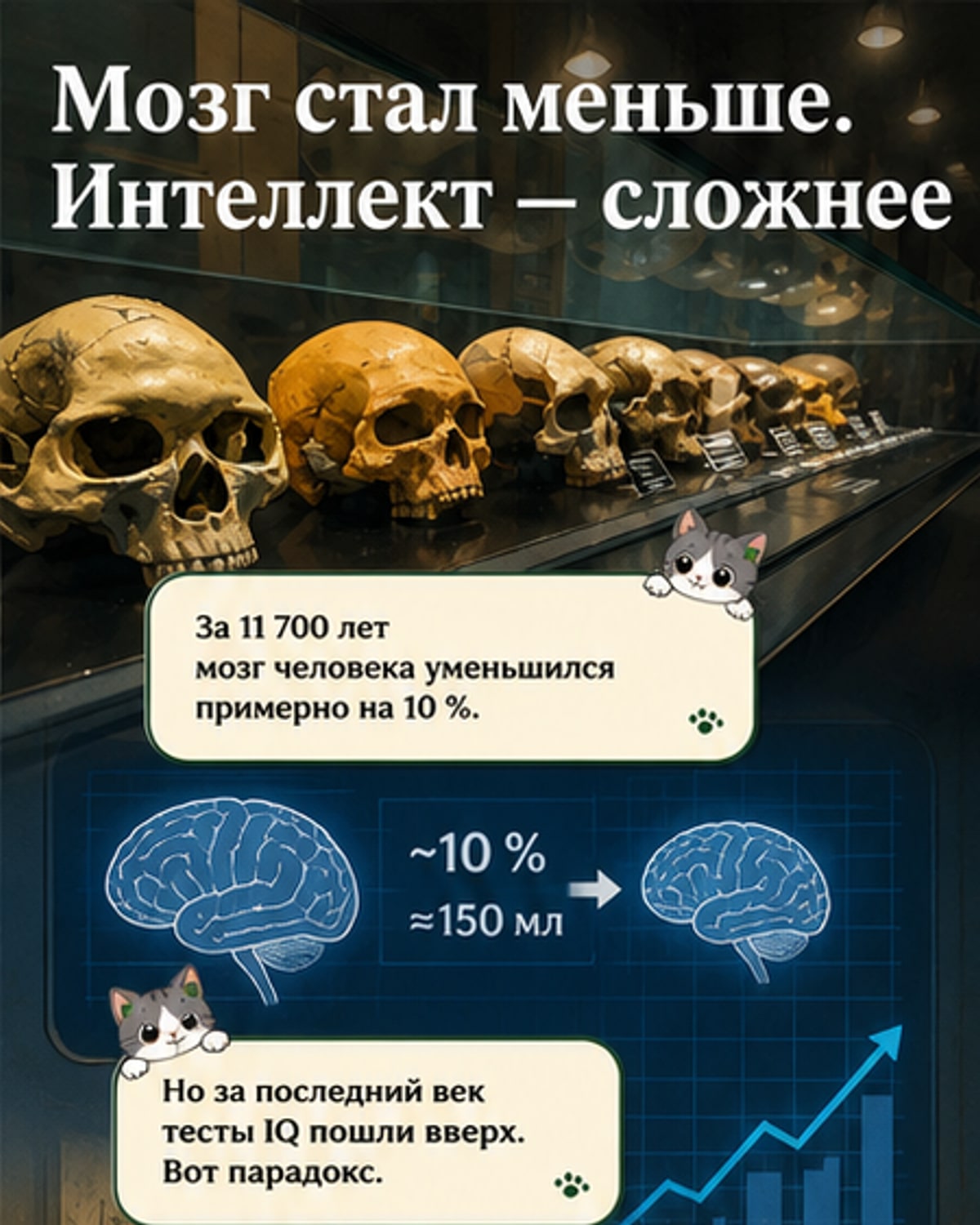 Мозг стал меньше, но мы умнее