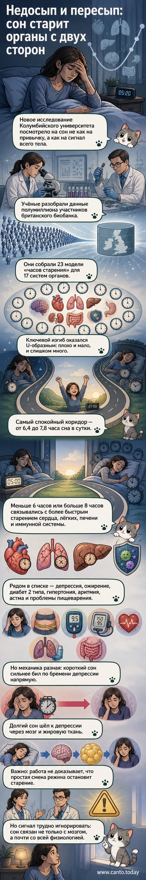 Иллюстрация человеческого силуэта с подсвеченными органами, где сердце, лёгкие и мозг отмечены красным — показано, как недостаток и избыток сна ускоряют их старение.