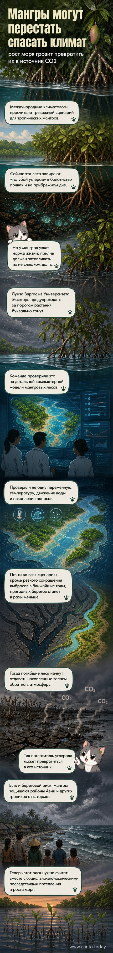 Изображение показывает затопленный мангровый лес на фоне поднимающегося уровня моря, с корнями деревьев, едва виднеющимися над водой, и графическим обозначением выбросов CO₂ в атмосферу.
