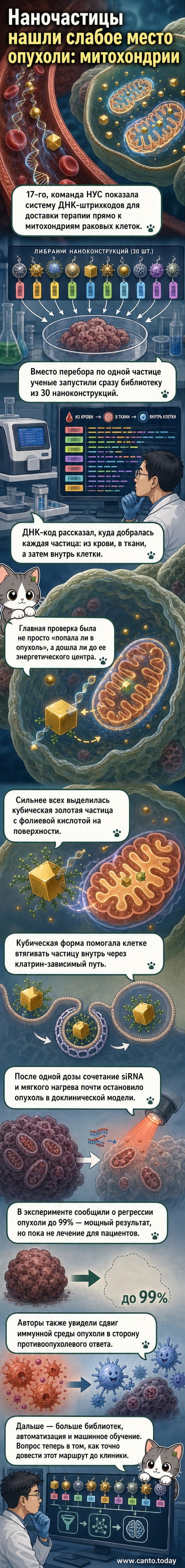 Анимационная иллюстрация: наночастицы с ДНК-кодами движутся по кровотоку и проникают в опухоль, доставляя лекарство прямо в митохондрии раковых клеток.