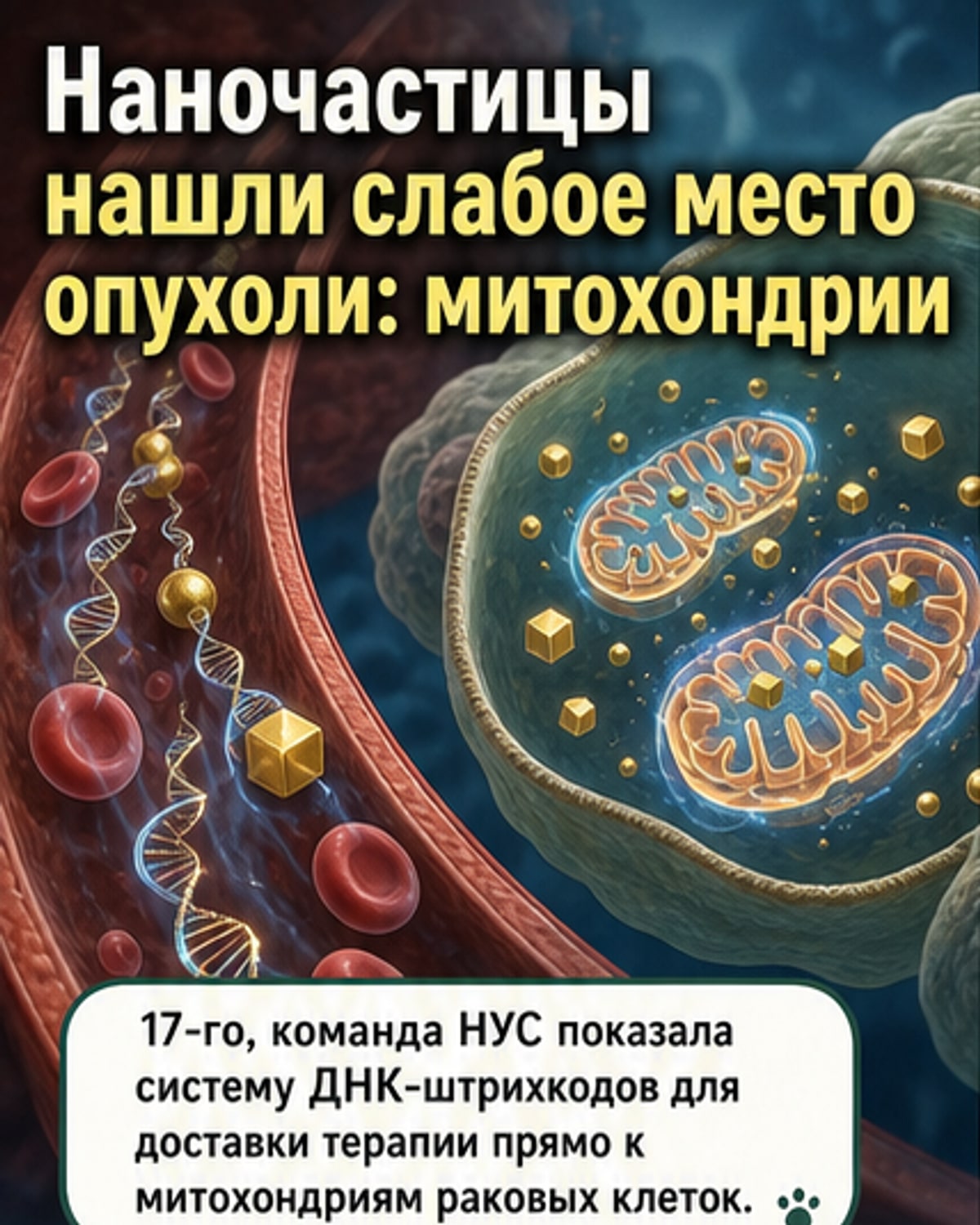 Рак почти уничтожен в эксперименте
