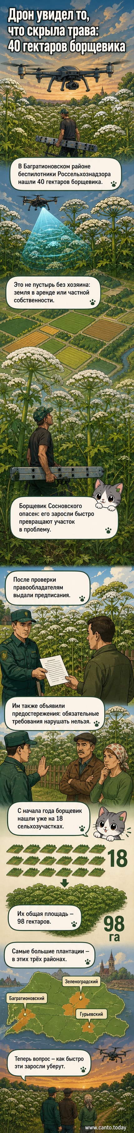 Изображение: дрон в полёте над полем, покрытым высоким зелёным растением — борщевиком Сосновского. Внизу — указатель района и площади поражения.