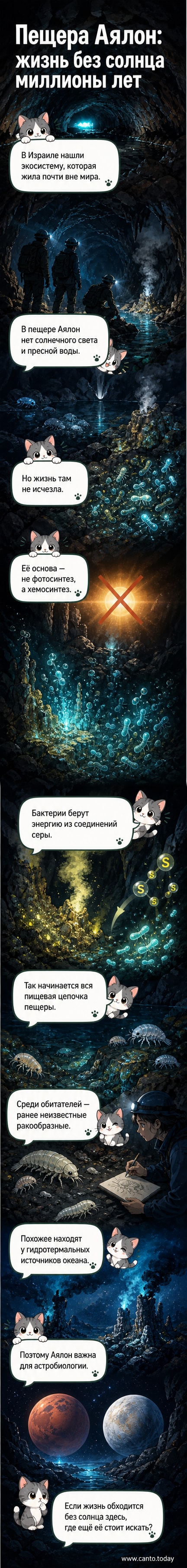 Темная пещера Аялон, где миллионы лет существует экосистема, основанная на хемосинтезе, а не на фотосинтезе.