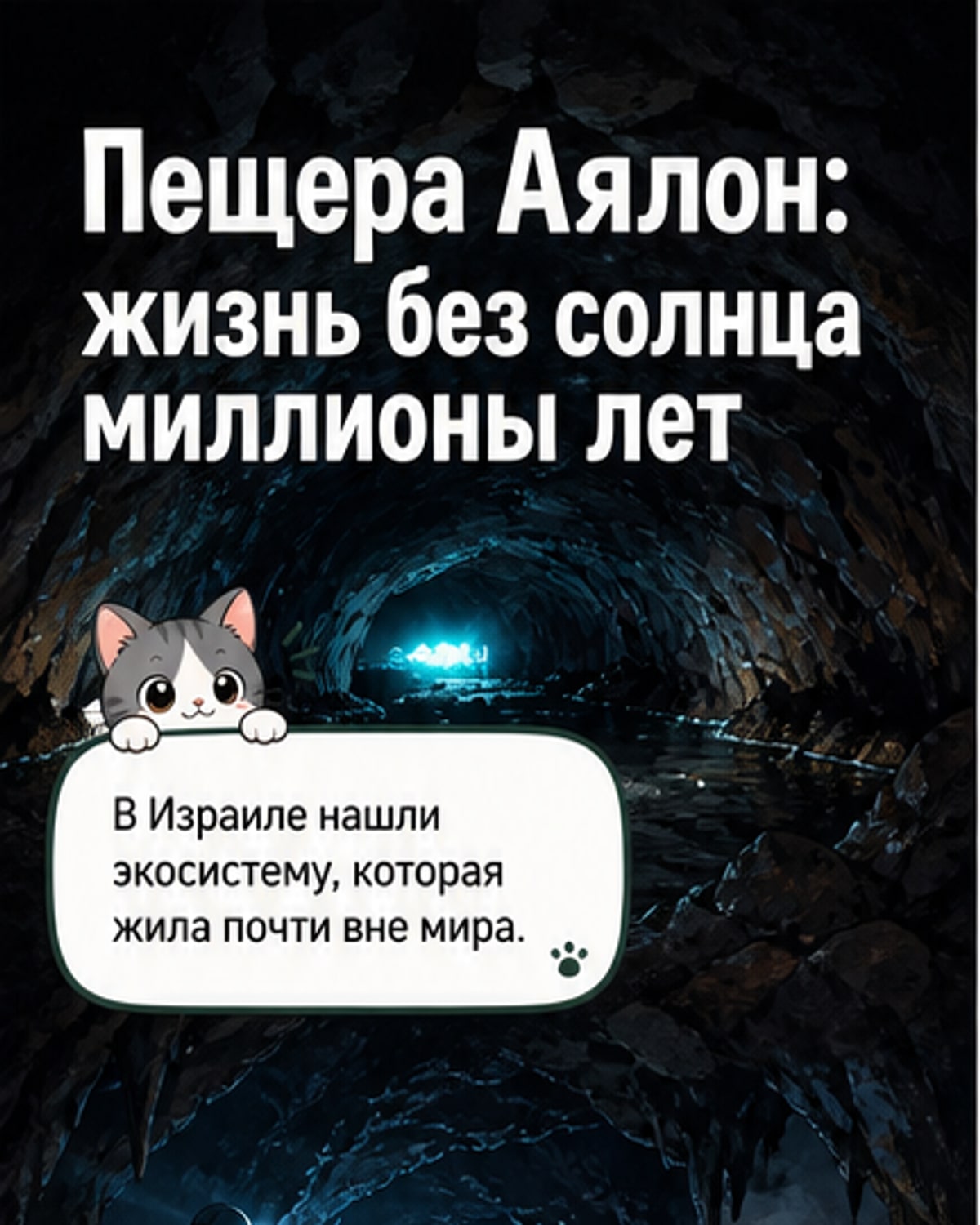 Темная пещера Аялон, где миллионы лет существует экосистема, основанная на хемосинтезе, а не на фотосинтезе.