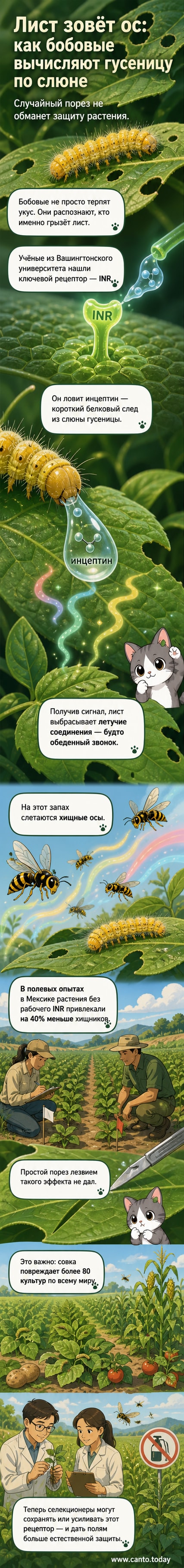 Иллюстрация: бобовое растение испускает химический сигнал, привлекающий ос против гусениц.