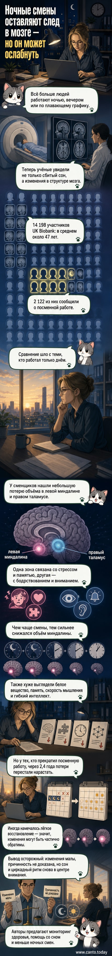 Иллюстрация головного мозга с выделенными зонами — левой миндалиной и правым таламусом — где у сменщиков зафиксирована потеря объёма ткани