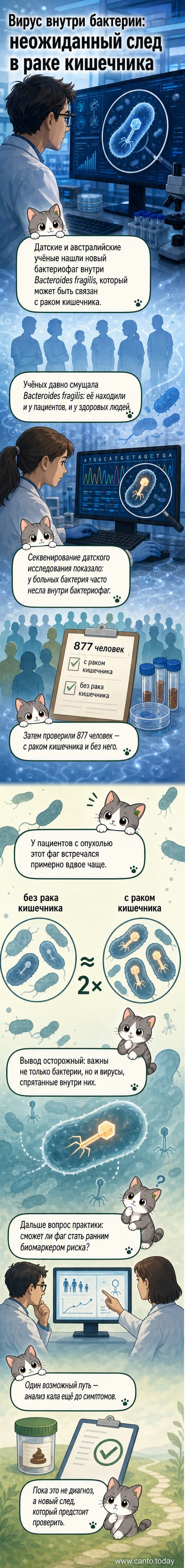 Иллюстрация кишечной бактерии Bacteroides fragilis с проникшим в неё бактериофагом на фоне клеток кишечника