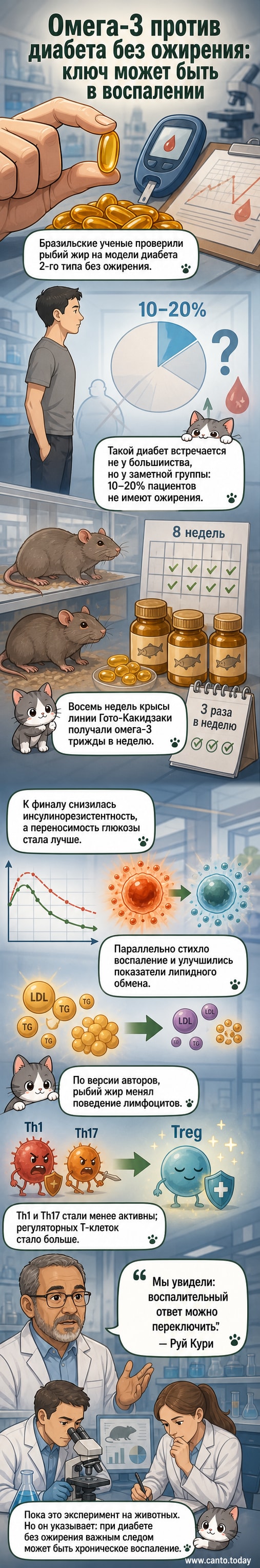 Иллюстрация: крыса в лабораторной клетке, рядом — схема иммунных клеток, где провоспалительные Т-хелперы заменяются на регуляторные Т-клетки под действием омега-3