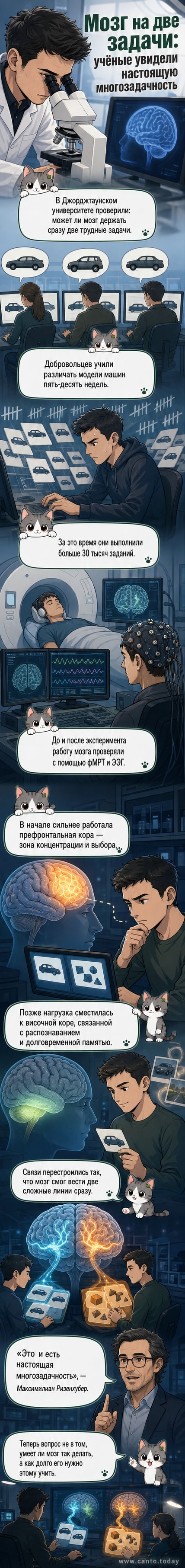 Иллюстрация человеческого мозга с подсвеченными зонами активности: префронтальной и височной корой, показывающими переход между режимами обработки задач.