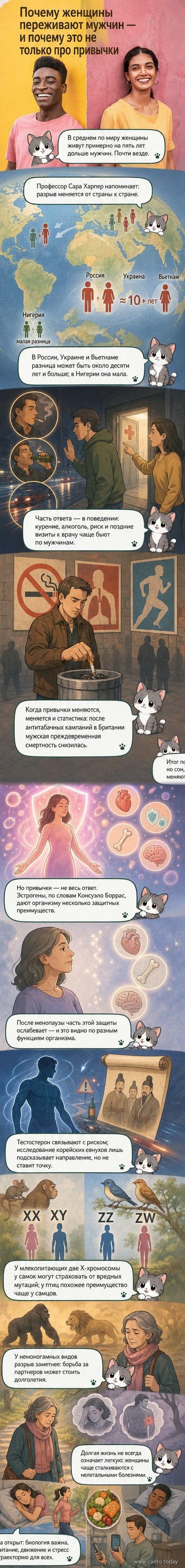 Иллюстрация двух силуэтов — мужчины и женщины — с обозначением хромосом XX и XY, вокруг — символы гормонов, сердца, костей и часов, отражающих долголетие и здоровье