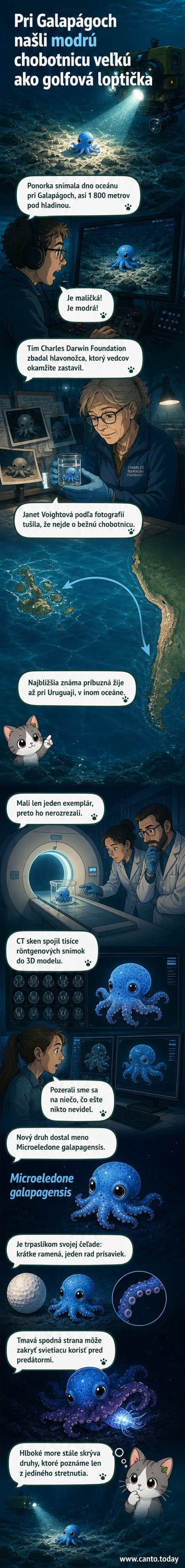 Ilustrácia malej modrej chobotnice s tmavofialovým bruchom vo tmavom oceáne, s popiskami jej anatomickej štruktúry a prostredia.