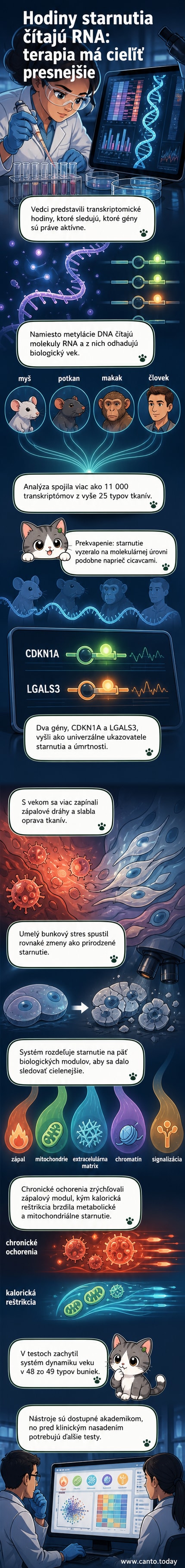 Ilustrácia ľudskej bunky s označenými génmi CDKN1A a LGALS3, na pozadí grafický záznam aktivity génov cez vek
