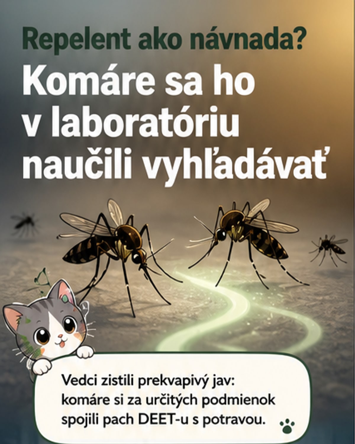 Komáre sa môžu učiť hľadať ľudí s repelentom